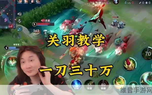 王者荣耀，张大仙李白玩法全解析与数据攻略秘籍