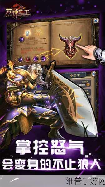 万神之王BT版下载，领略王者英姿，畅享角色扮演战斗盛宴
