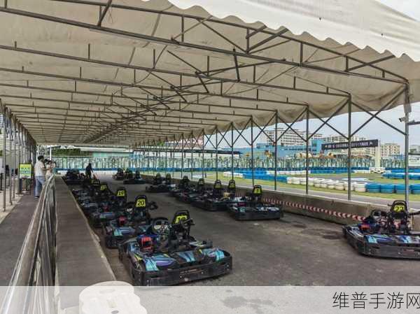 F1 2020游戏手机版下载,驰骋赛道,挑战极限的超级刺激赛车竞速闯关之旅
