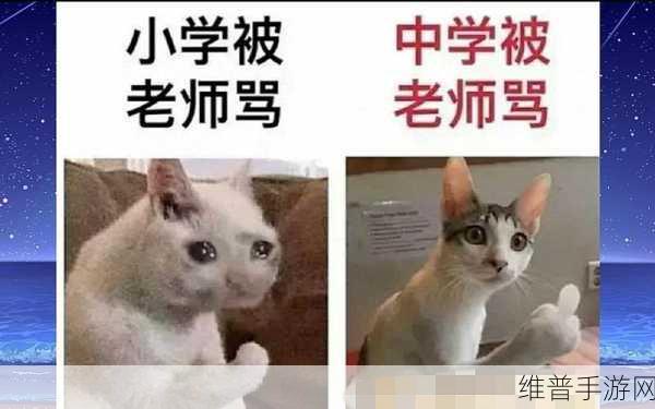 小学老师小扫货：```【专题】