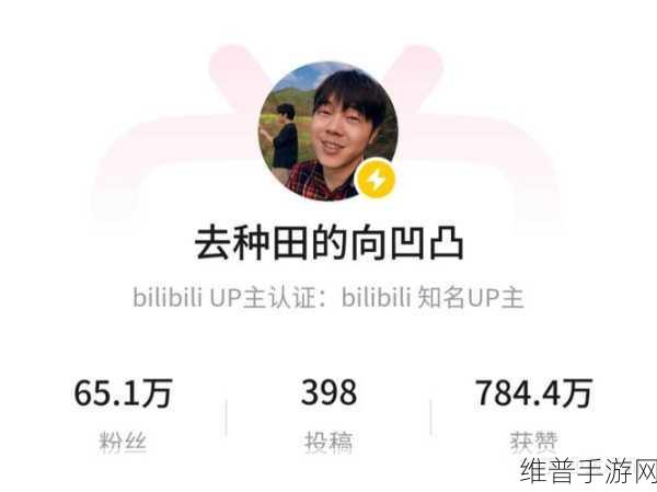 2023年免费b站推广大全,入口：2023手游推广必备：B站免费引流攻略大全【专题】