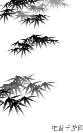 墨竹SP小圈：墨竹小圈SP【专题】