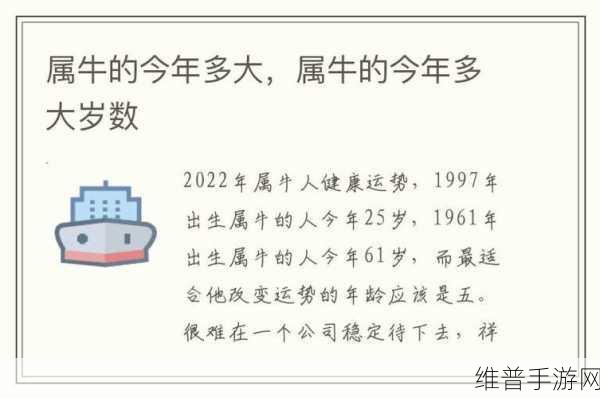 2008年11月19日今年多大：你的年龄计算器【专题】