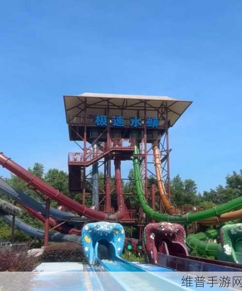 Hamster Waterpark游戏下载，探索水上乐园的极速乐趣