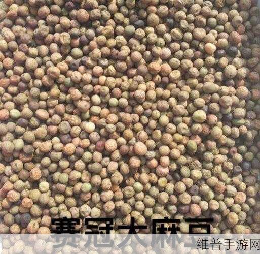 麻豆精产一二三产区：麻豆农场大亨：种植收获富翁梦【专题】