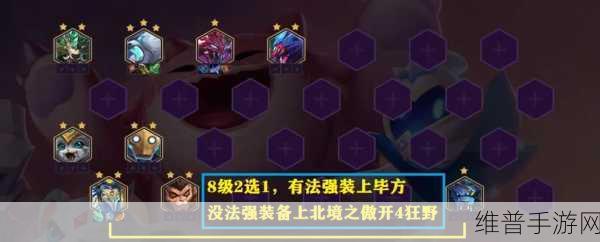 金铲铲之战,六斗士维克兹主 C 玩法全攻略