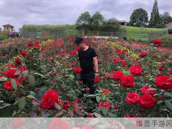 大头和郭芮辰的亲吻照：甜蜜恋爱：与他的浪漫瞬间【专题】