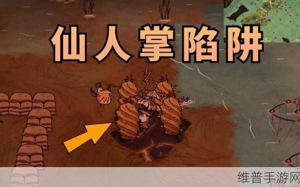 饥荒海难手游巨型仙人掌的奇妙用途