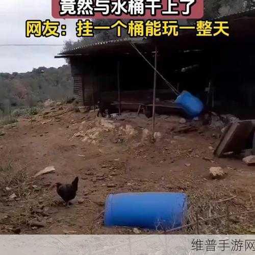 51吃瓜蘑菇视频：吃瓜蘑菇短视频【专题】