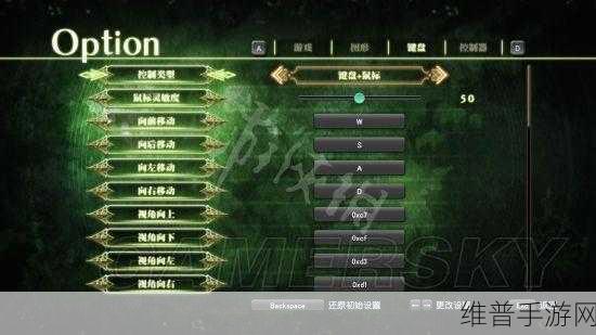 光明之响中文版与龙奏回音全攻略指南