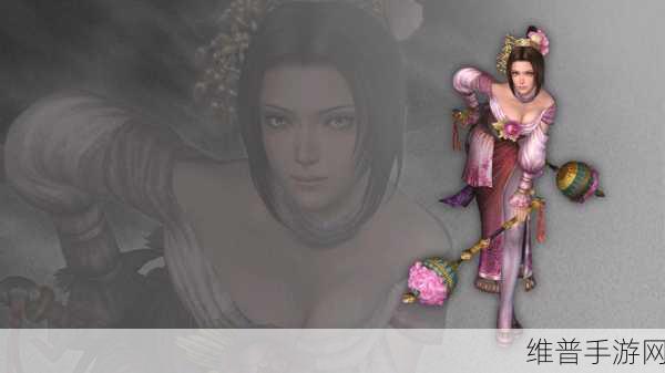 无双大蛇 3 貂蝉魅力全解析