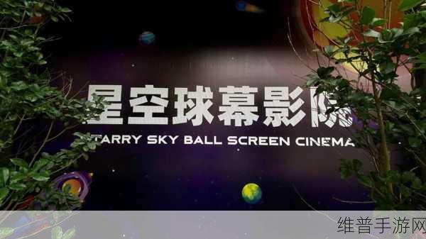 星空影院元旦盛宴在线观看:星空影院新春特惠观影季【专题】