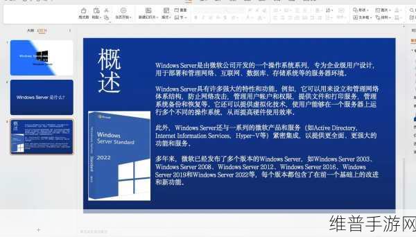 日本windowsserver电影