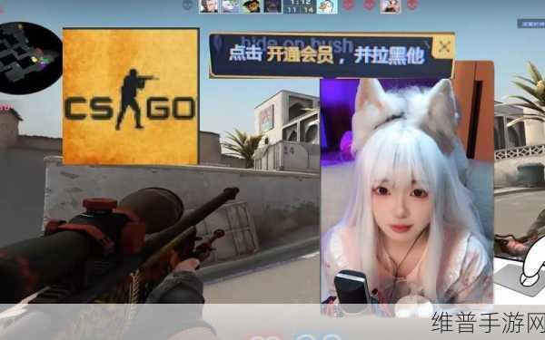 暴躁日本老阿姨CSGO：```【专题】