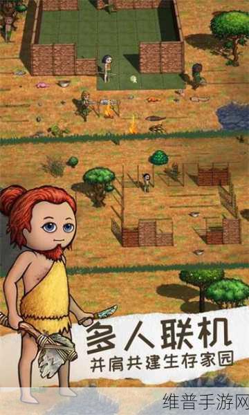 探索无限可能，希望之村官方版2024最新版深度攻略