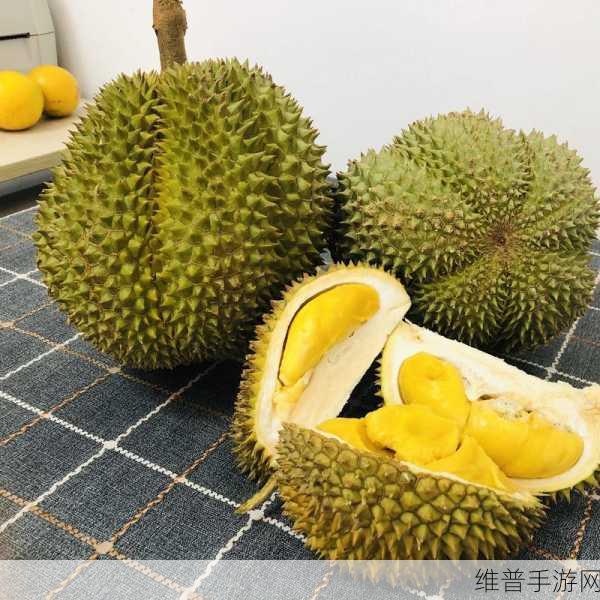 榴莲视频app涩：榴莲短视频：趣味社交新体验【专题】