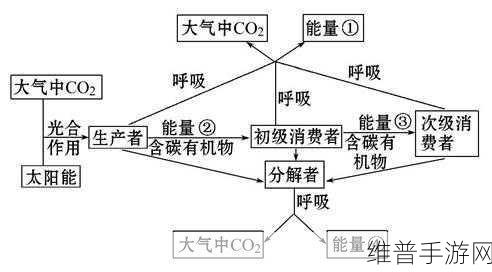 绝区零能量循环液用途全解析