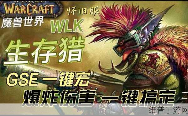 WLK生存猎人一键输出宏：一键爆发 - 生存猎人伤害助手【专题】
