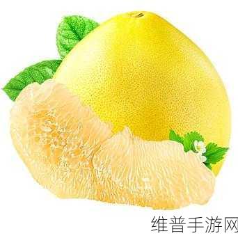 黄色蜜柚小视频:蜜柚短视频【专题】