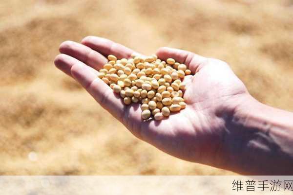 高清欧美精品XXXXX大豆行情：欧美风云：豆谷传说【专题】