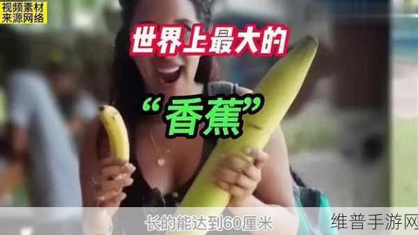 香蕉视频链接:香蕉短视频大冒险【专题】