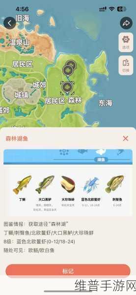 心动小镇钓鱼秘籍，轻松掌握钓鱼技巧
