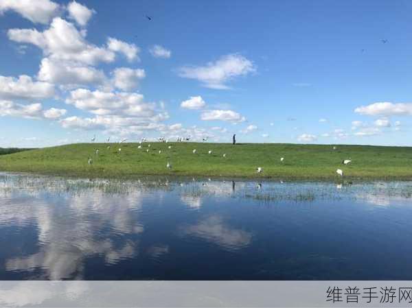 成绩单的秘密，益智闯关中的创意休闲之旅——揭秘智趣挑战