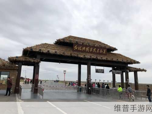 成绩单的秘密,益智闯关中的创意休闲之旅——揭秘智趣挑战