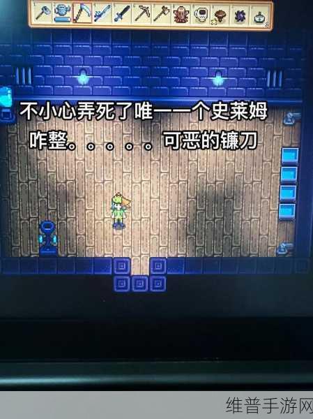 星露谷物语千杯寒雪美化版深度攻略，重温经典像素游戏的魅力