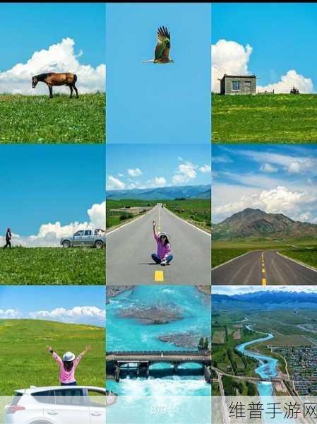 伊犁园20233秒转入:伊犁园:20秒闪电入驻【专题】
