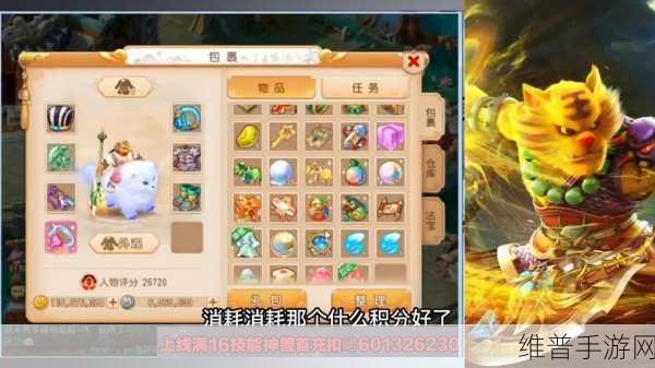 梦幻手游金币获取秘籍，最快途径大揭秘
