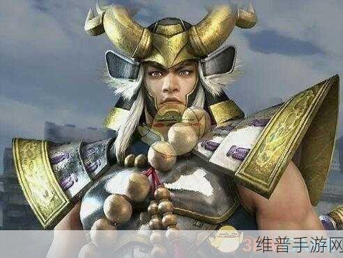 无双大蛇 3 本多忠胜全解析