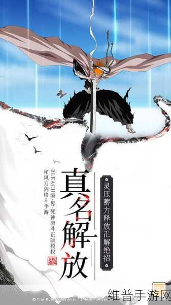 境界死神激斗抖音版，热血格斗新体验，专为抖音玩家打造