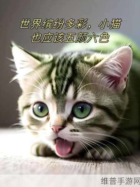 色色色999：缤纷色彩999【专题】
