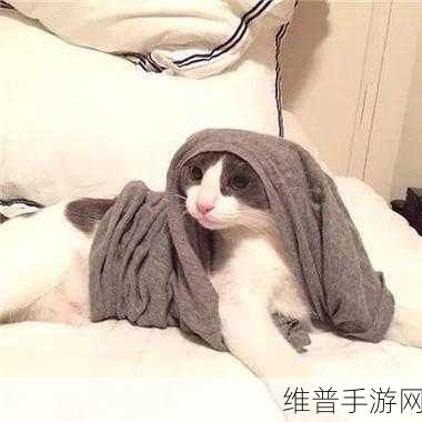 bt kitty 猫:萌宠喵星人【专题】