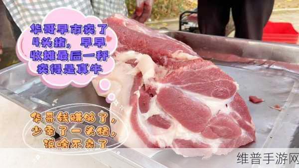 在被子里打扑克拨萝卜：被窝里的农场大作战【专题】