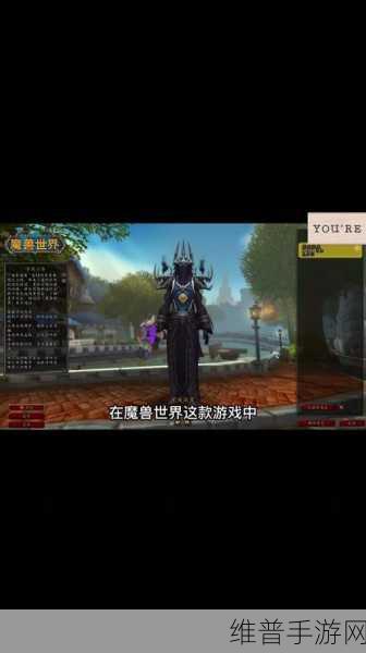 希利苏斯塞纳里奥声望:塞纳里奥沙漠声望【专题】