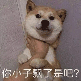 人狗胶配方大全免费天气预报：萌宠配方大师：天气助手【专题】