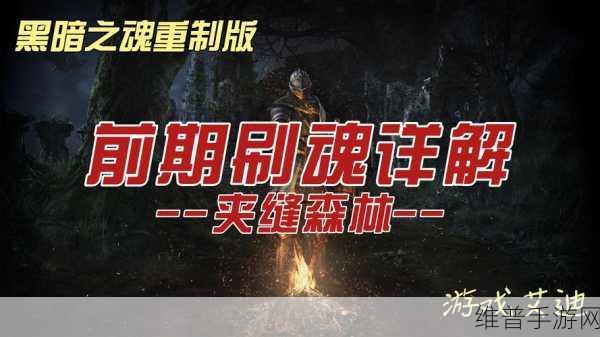 黑暗之魂重制版夹缝森林通关秘籍