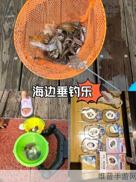 渔夫的乐趣，深入体验渔夫的钓鱼挑战休闲游戏下载全攻略
