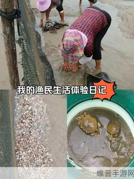 渔夫的乐趣，深入体验渔夫的钓鱼挑战休闲游戏下载全攻略