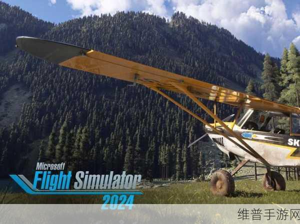 模拟航空飞行2024，翱翔天际的极致体验——完整版下载安装全攻略