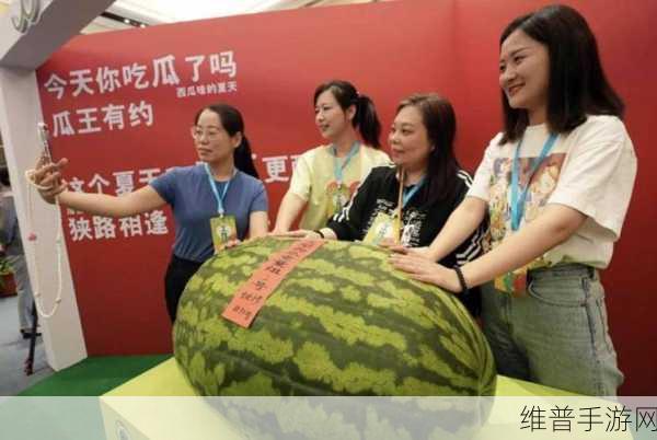 五一朝阳吃瓜今日最新：五一假期爆料：朝阳瓜王速递【专题】