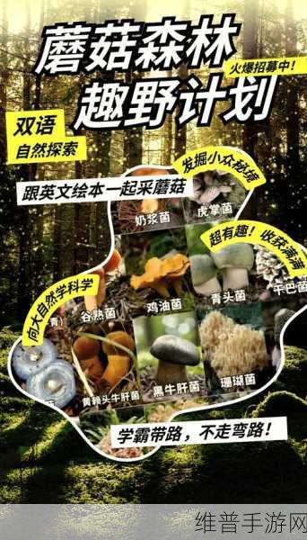 蘑菇黑料爆料：蘑菇秘境大揭秘【专题】