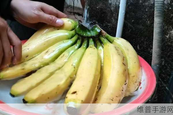 香蕉久久精品:香蕉消消乐【专题】