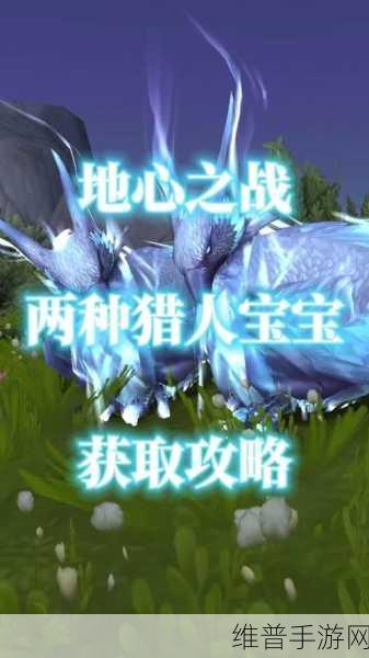 地心之战猎人最新改动：地心之战：猎人职业大型更新来袭！【专题】