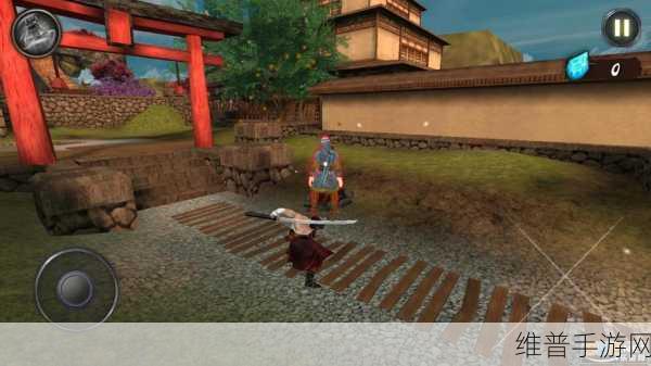 忍者武士隆2021最新版下载全攻略，清新卡通风格的动作闯关盛宴