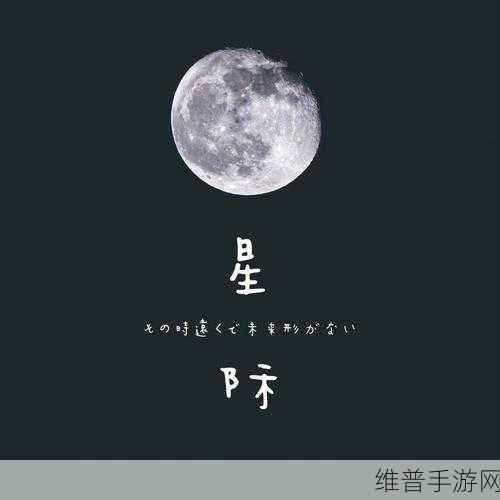 今夜：今夜·寻梦【专题】