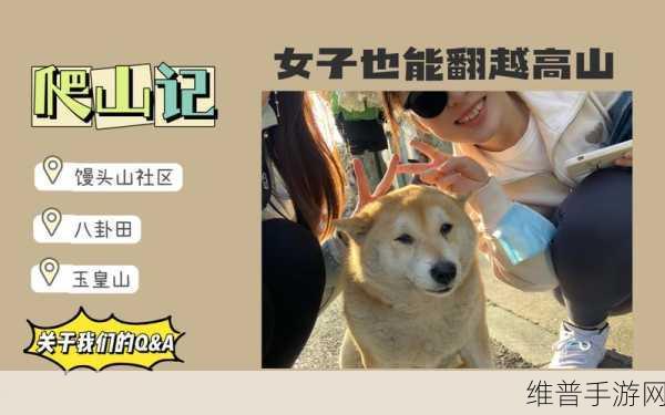 黑客网免费吃瓜独家爆料:瓜瓜乐园-热门八卦社区【专题】