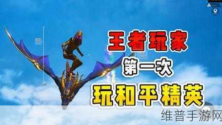 和平精英，张天成的精彩解说与致胜攻略